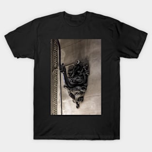 Penrhyn castle -Hand T-Shirt